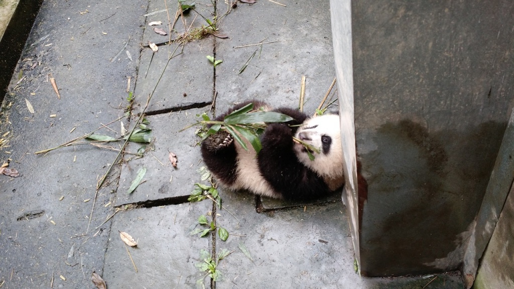 Xi Nier 2 wrangling a rascally branch of bamboo