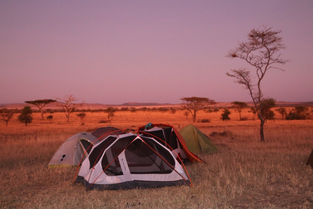 Tents on the Serengeti 