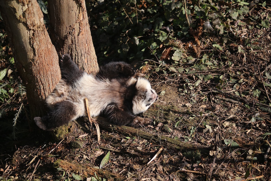 Sun bathing - doesn't she just look so content?