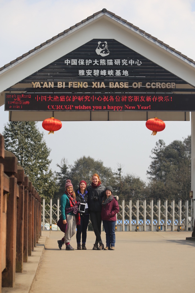 The next day we finally got to see the actual pandas and start our training! Here are Ari, Alyssa, Nicki, and Jenn (from left to right) at the gate wishing you all a Happy Chinese New Year!