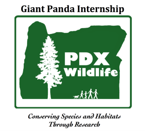 Giant Panda Internship