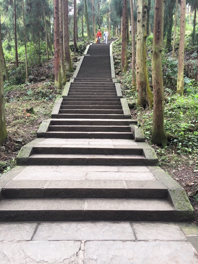 Winding stone staircases  lead you through Mt. Emei