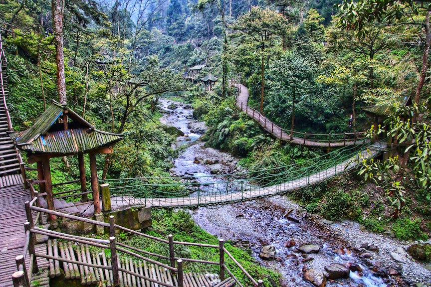 The Monkey Ecological Reserve area on Emei Shan is characterized by a criss-crossing bridge system.