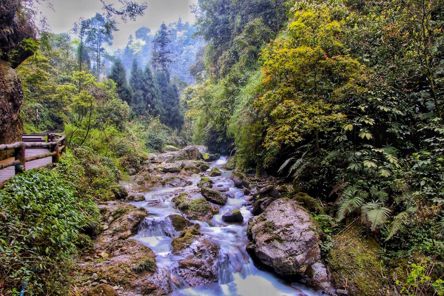 Breathtaking imagery in the Monkey Natural Reserve area.