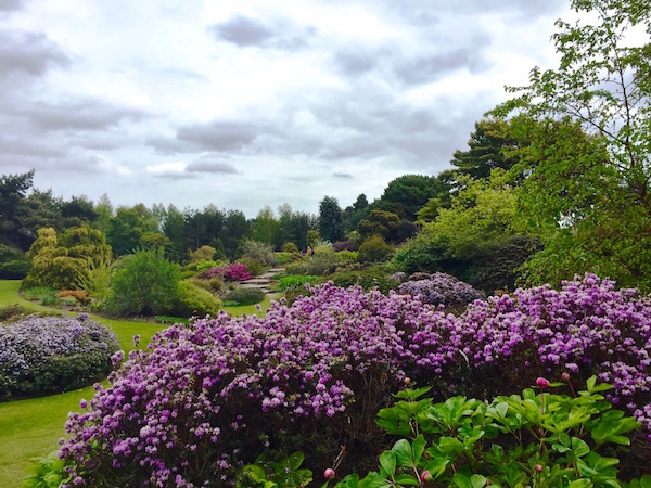 The world famous botanical gardens with the most rhododendron species outside of China.
