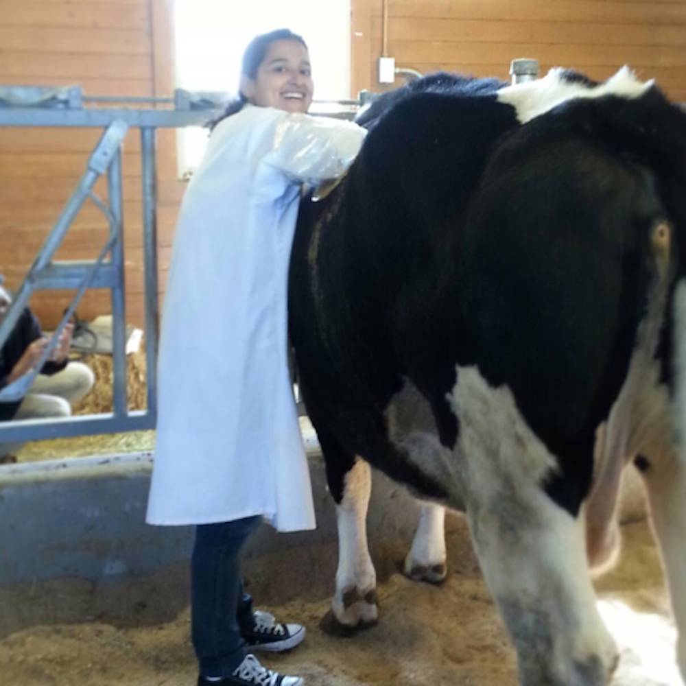 Sofany studying animal nutrition at Cornell arms deep in the rumen.