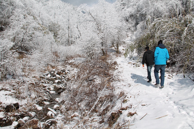 Heading to Si Xue's enclosure which is about another 300 meters from the Tiantai Shan Field Station buildings.