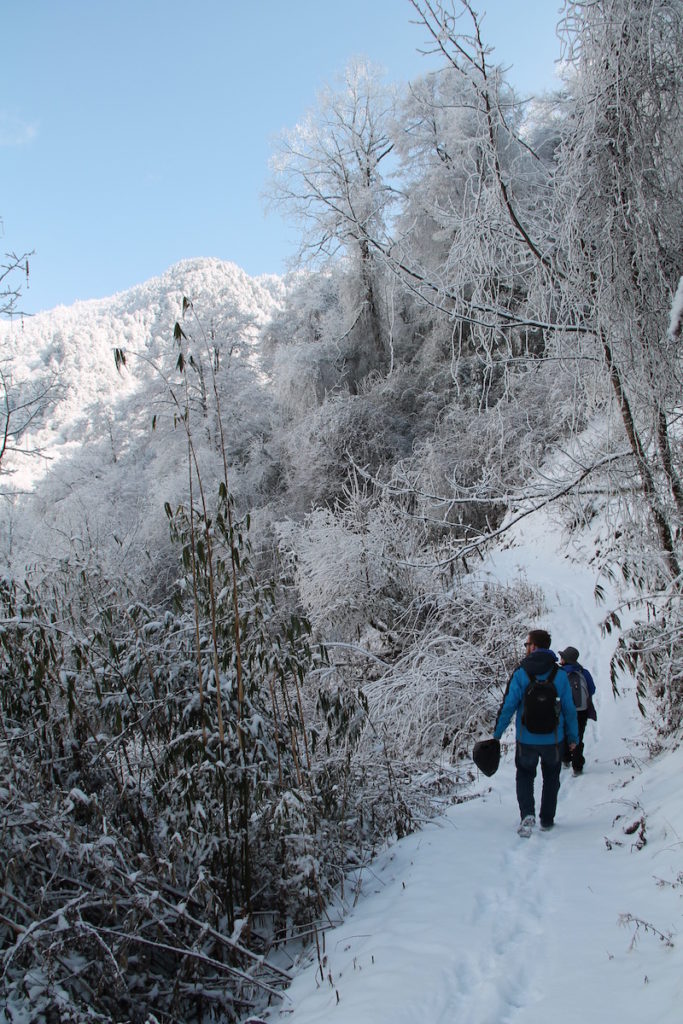 Hiking up to Tiantai Shan Field Station.