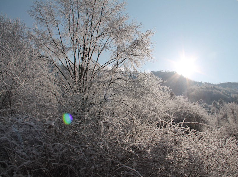 The breathtakingly, snowy scenery from our car during the drive up.