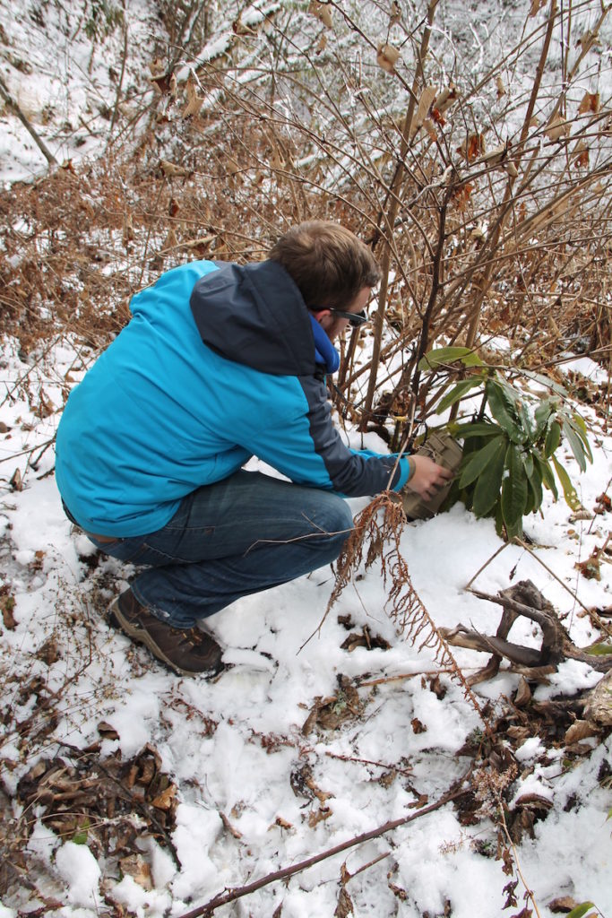 Locating shrubbery that can hide the camera