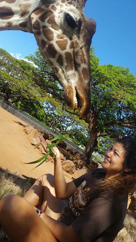 Volunteering at the Honolulu Zoo in Oahu, HI. 