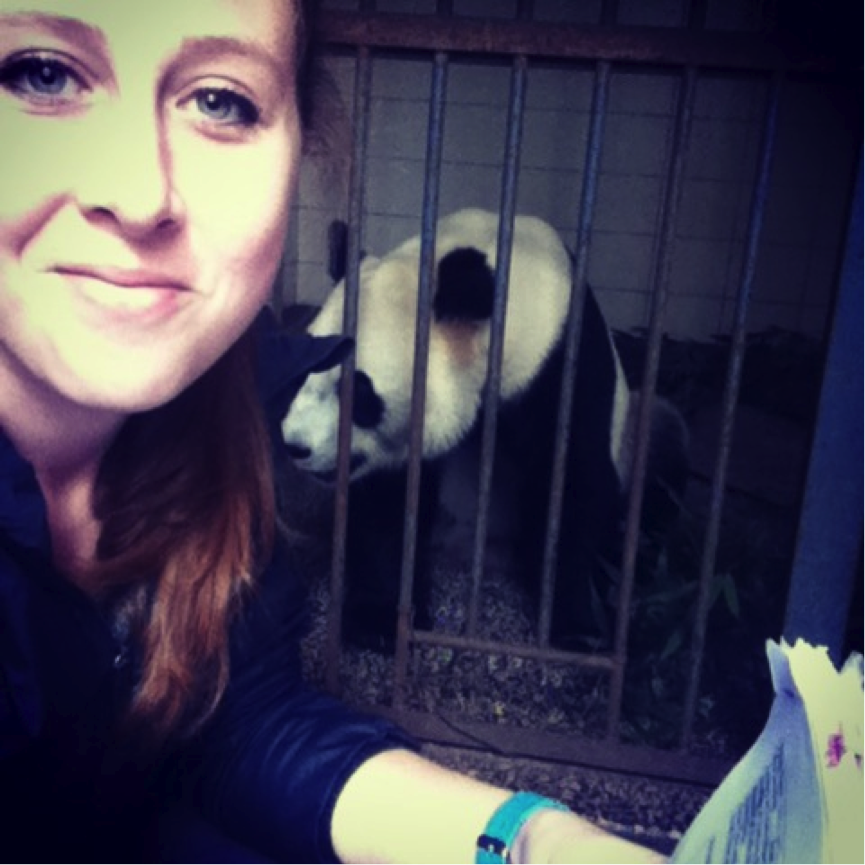 Winter/Spring 2015 Panda Internship NOW OPEN!