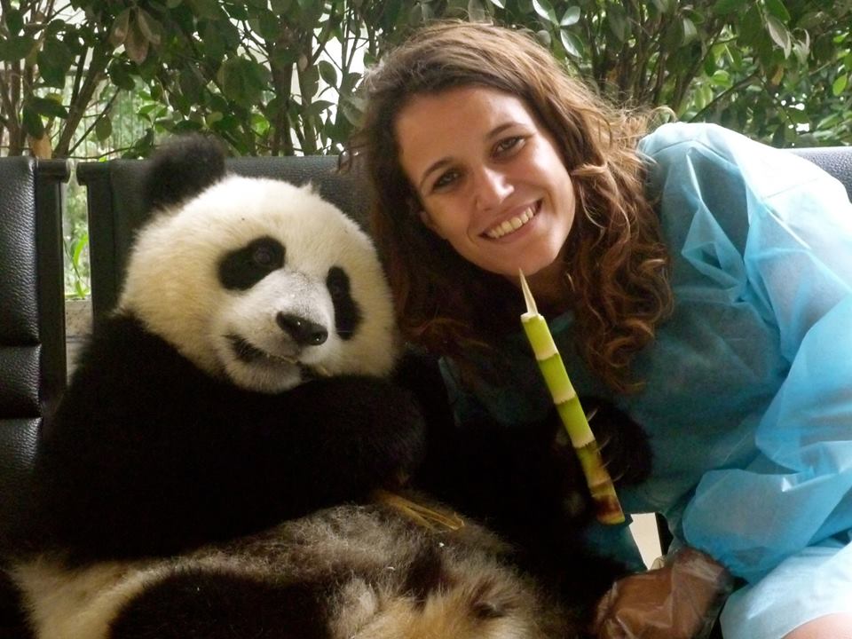 Giant Panda Internship – Summer 2016