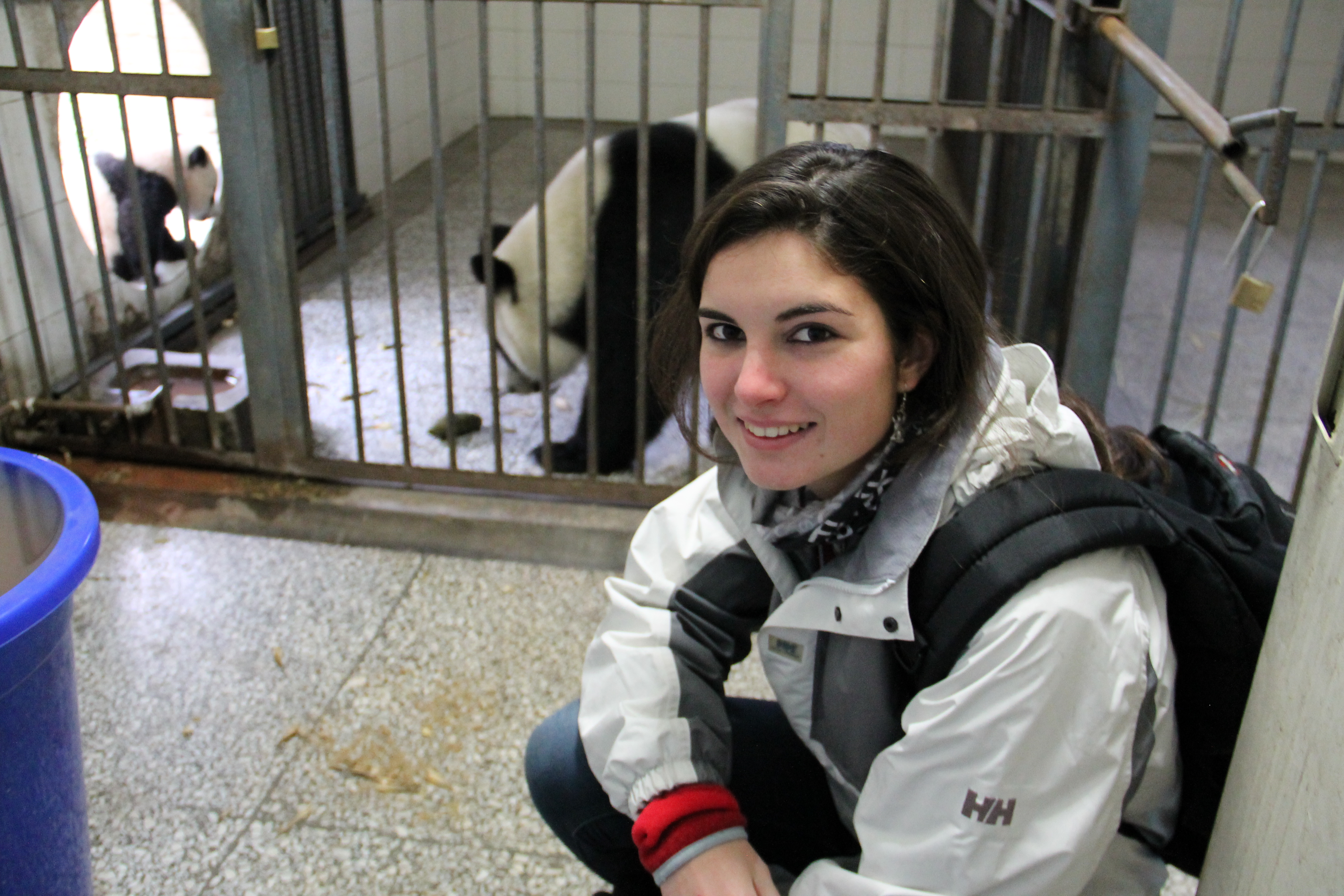 Spring 2016 Giant Panda Internship- Closing Soon