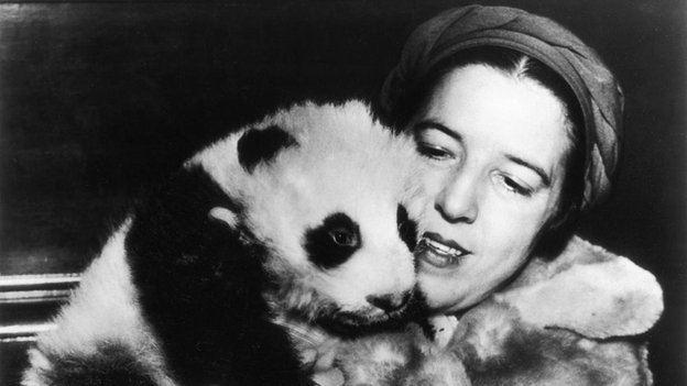 Did You Know? The History of Pandas: Part 1