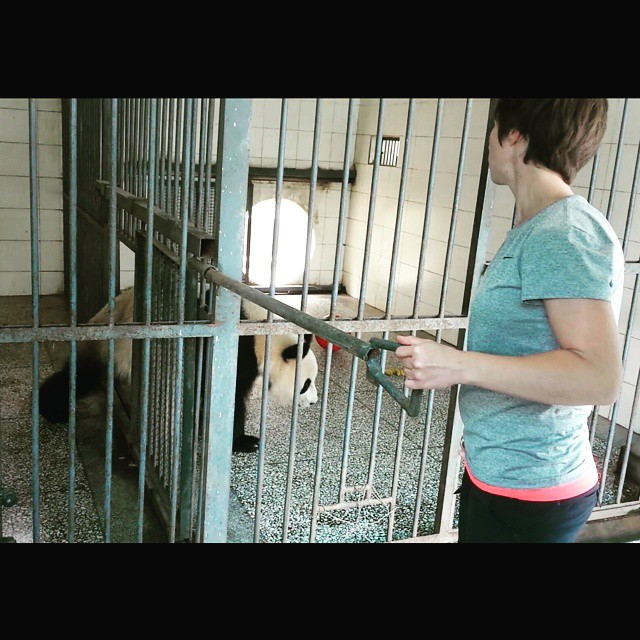 Lauran living the panda keeper dream!