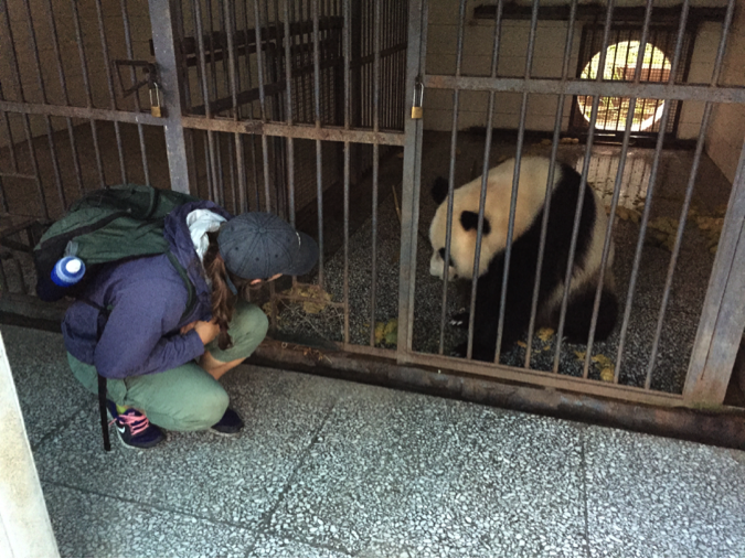 PDXWildlife Intern- Miranda: Adjusting to Life in Ya’an