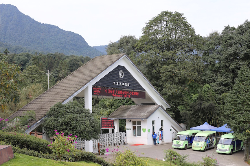 Tour of the Bifengxia Panda Base