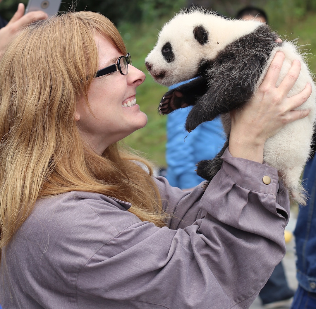 A Panda Cub Photoshoot