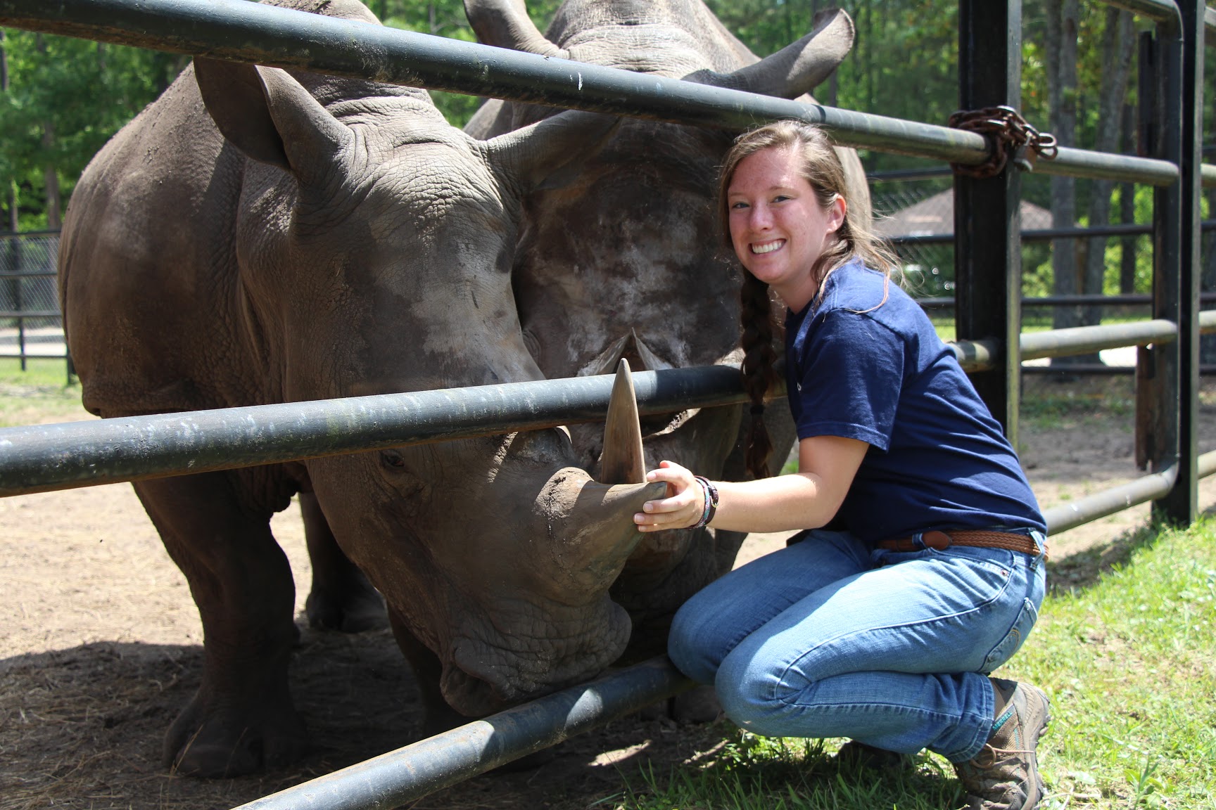 Winter Giant Panda 2016 Intern Profile: Jenn Walls