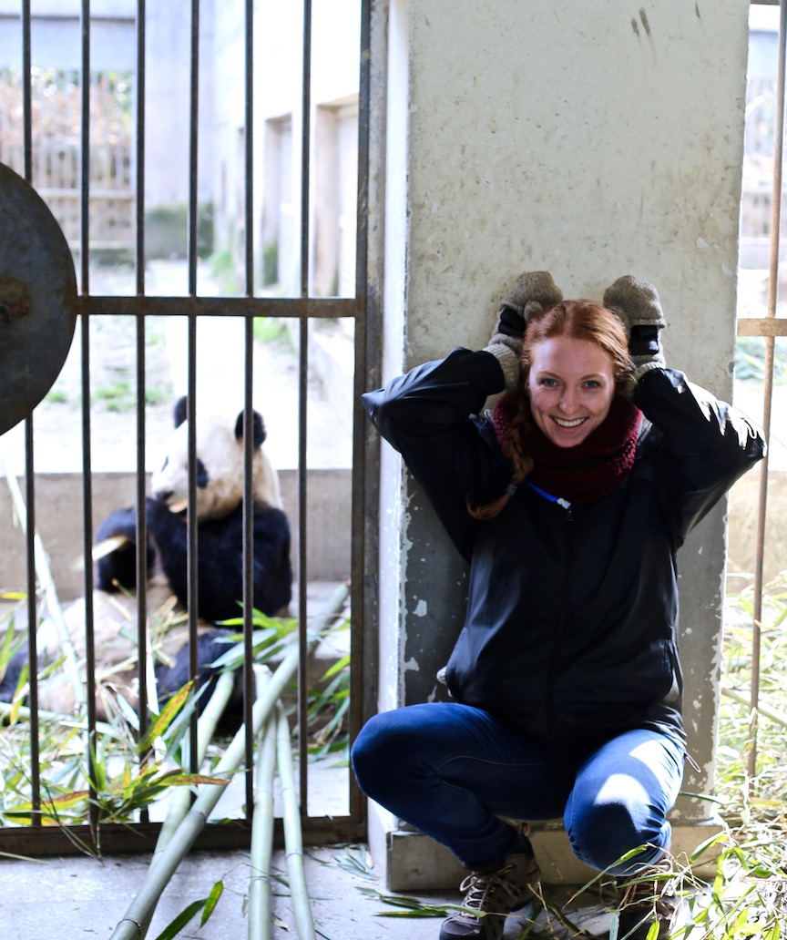 A typical day through the eyes of a Giant Panda intern Nicki Cady