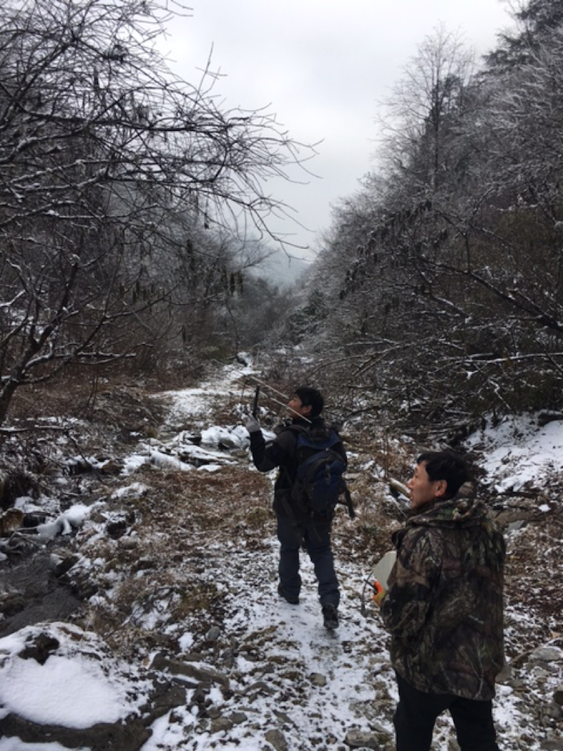 First Camera Trap Set-up at Tiantai Shan