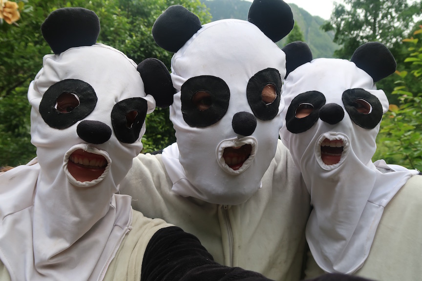 Giant Panda Winter Internship Open